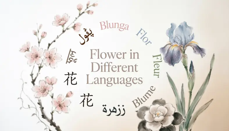 Flower in Different Languages
