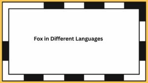 Fox in Different Languages