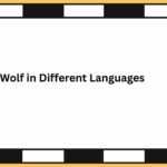 Wolf in Different Languages