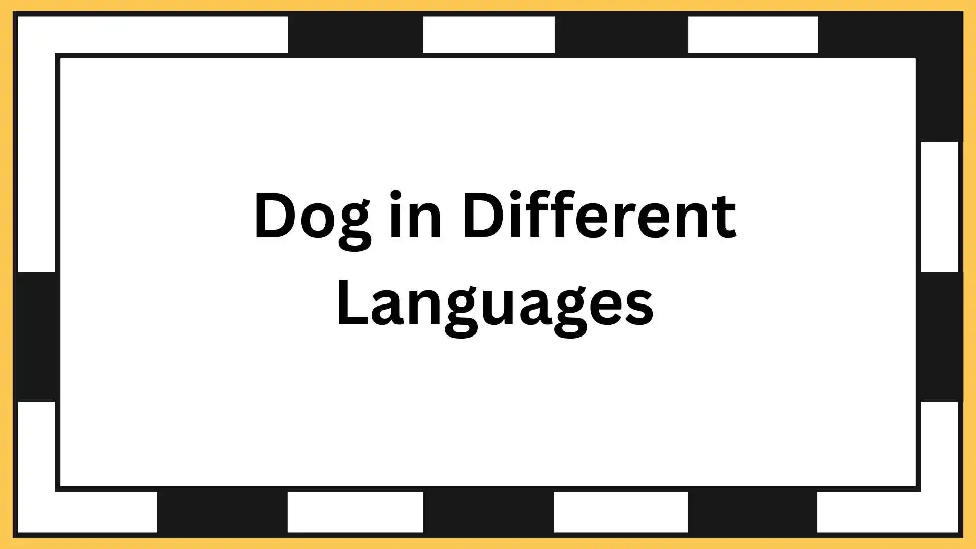 Dog in Different Languages