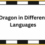 Dragon in Different Languages