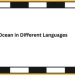 Ocean in Different Languages