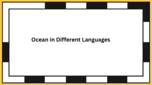 Ocean in Different Languages