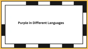 Purple in Different Languages