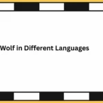 Wolf in Different Languages