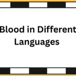 Blood in Different Languages