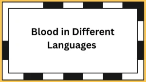 Blood in Different Languages
