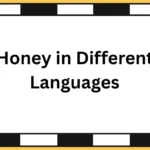 Honey in Different Languages