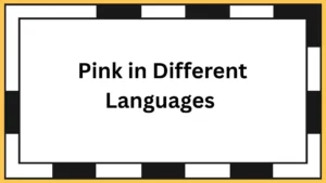 Pink in Different Languages