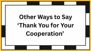 Other Ways to Say ‘Thank You for Your Cooperation’